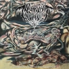 Mvltifission - Decomposition In The Painful Metamorphosis LP